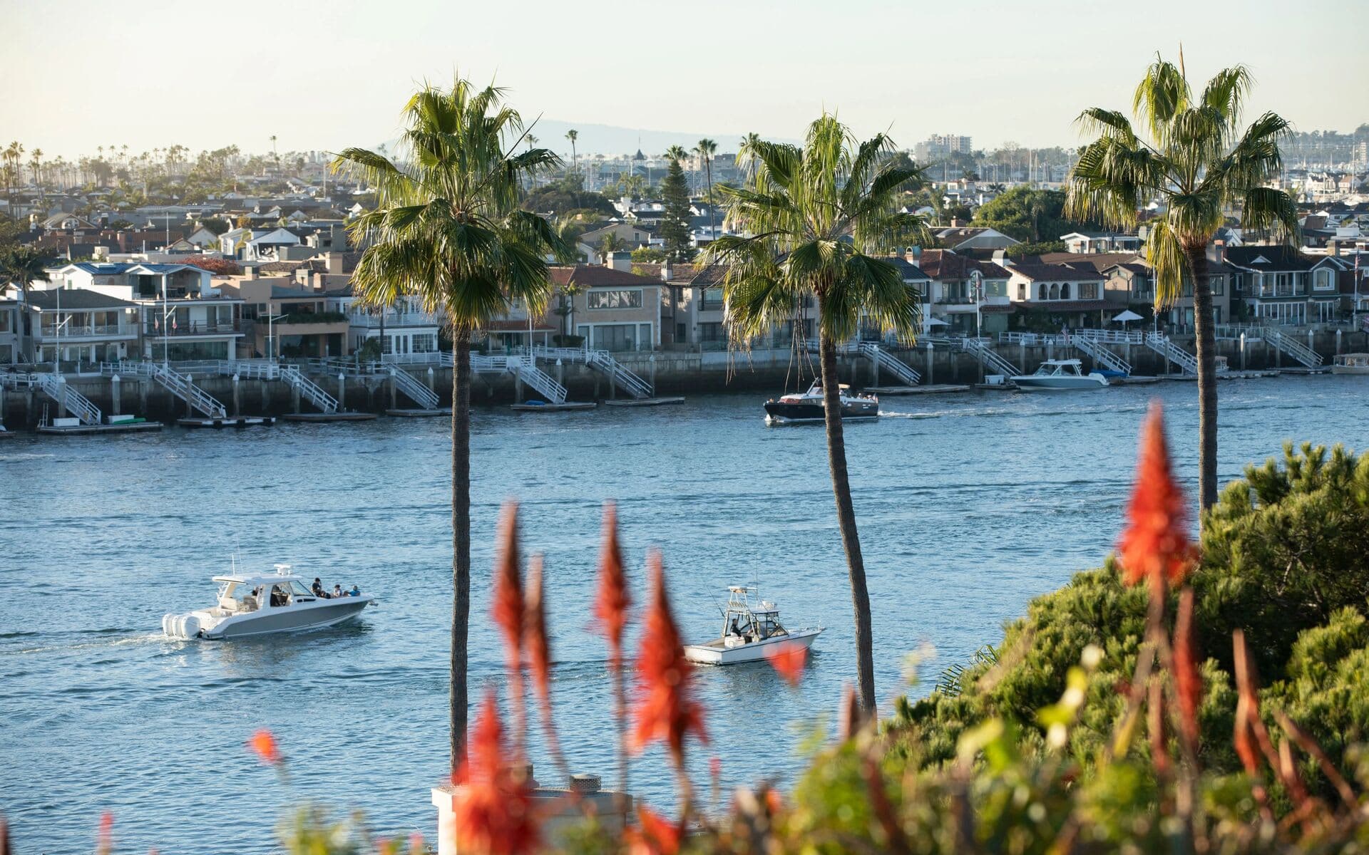 Palms above a harbor channel, with boats underway and waterfront homes on the far bank
